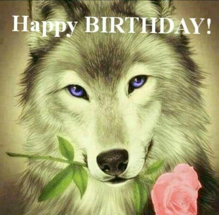 Ngày đặc biệt không thể thiếu happy birthday meme chúc mừng sinh nhật