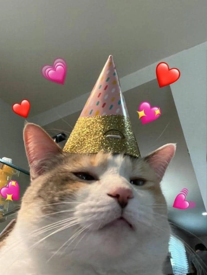 Không thể nhịn cười với loạt happy birthday meme funny mới nhất