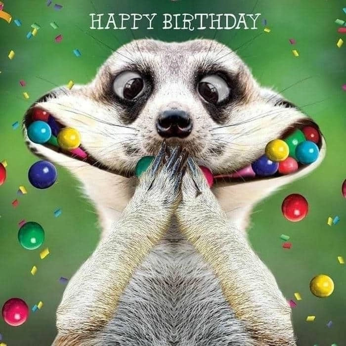 Chào đón tuổi mới theo phong cách happy birthday meme việt