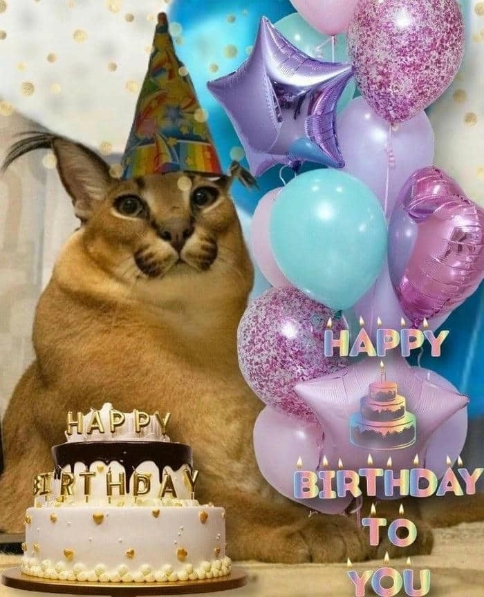 Tự yêu thương bản thân với happy birthday to me meme