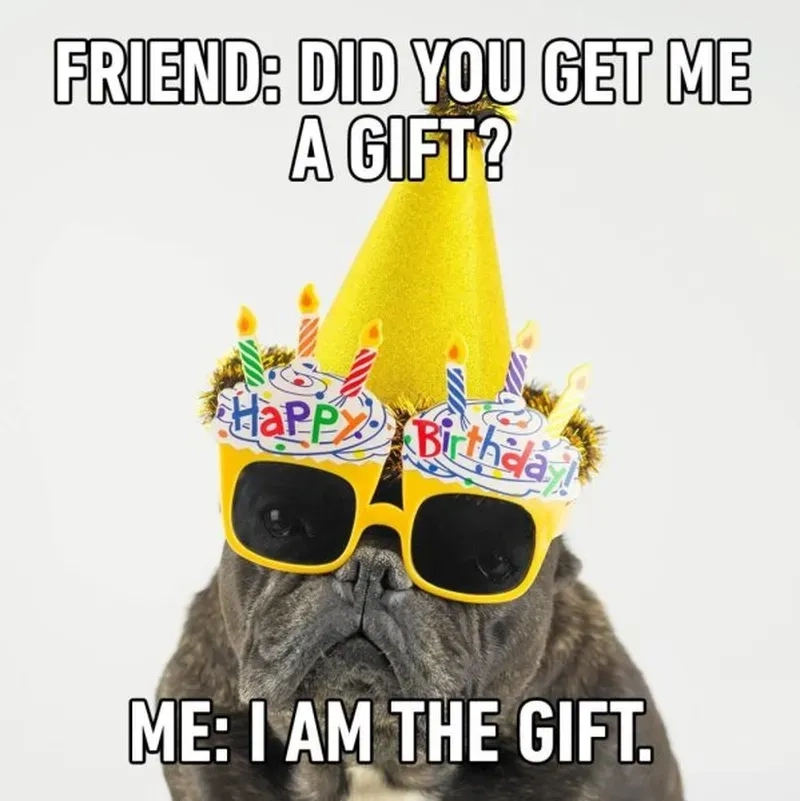 Cười ngất với combo funny happy birthday meme siêu độc