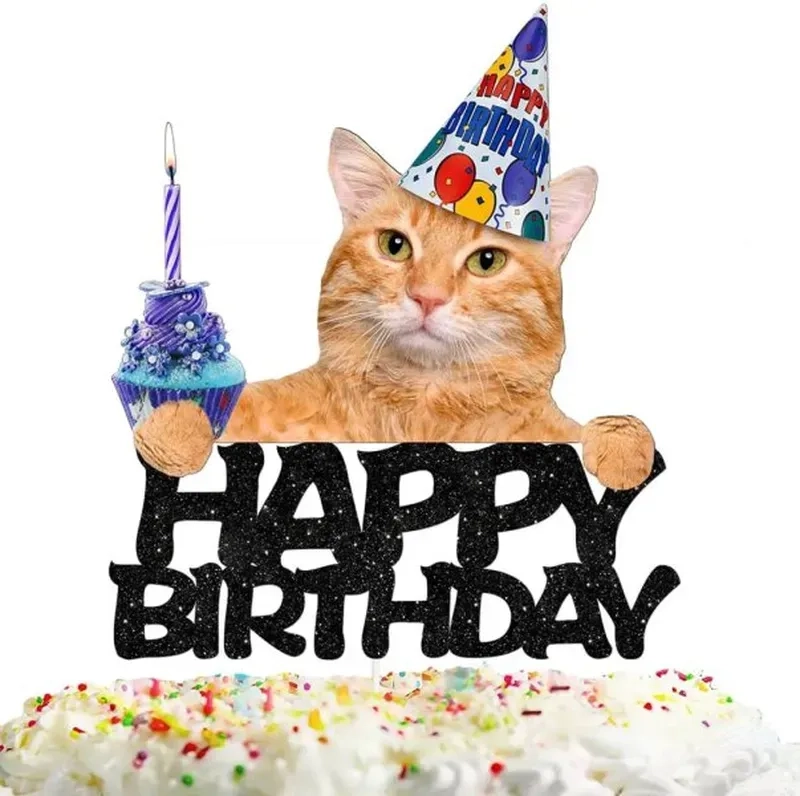 Tạo không khí vui vẻ bằng happy birthday gif meme