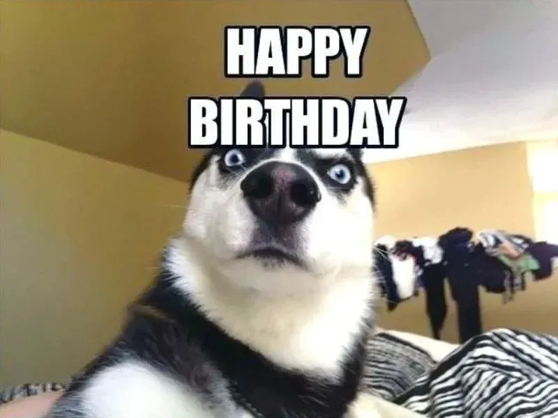 Đầy bất ngờ với loạt happy birthday funny meme đỉnh cao