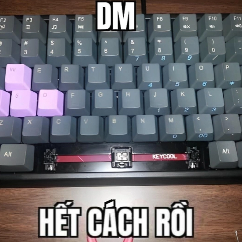 Đọc bill điện mà thốt lên meme hết cách rồi