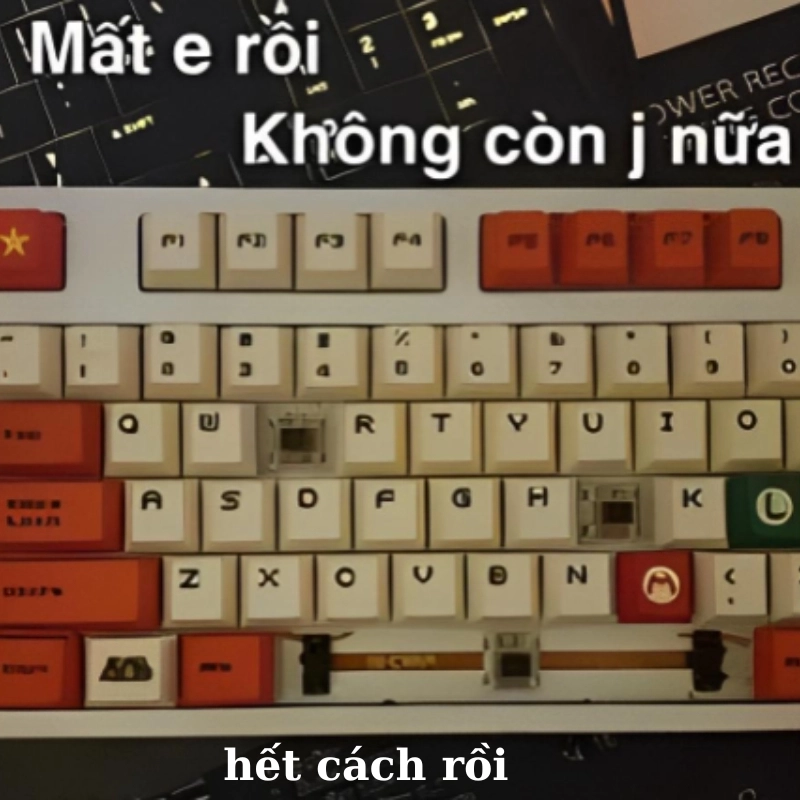 Cách gì nữa đâu mà nghĩ, meme hết cách r là thật