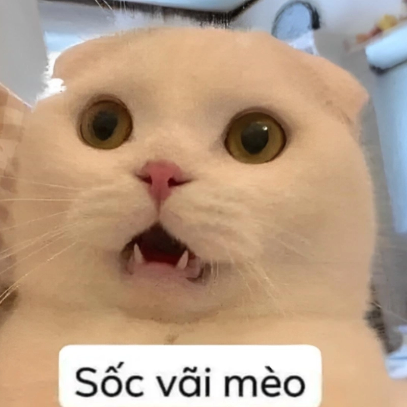 Nhìn bảng lương mà muốn hết hồn meme thật sự