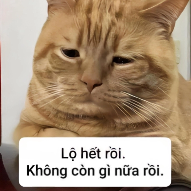 Sự thật bị phơi bày với lộ hết rồi meme