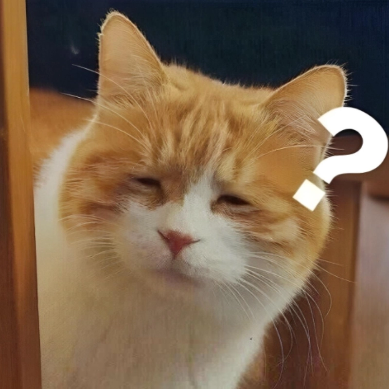 Khuôn mặt này xứng đáng với danh hiệu meme mặt khó hiểu nhất tuần