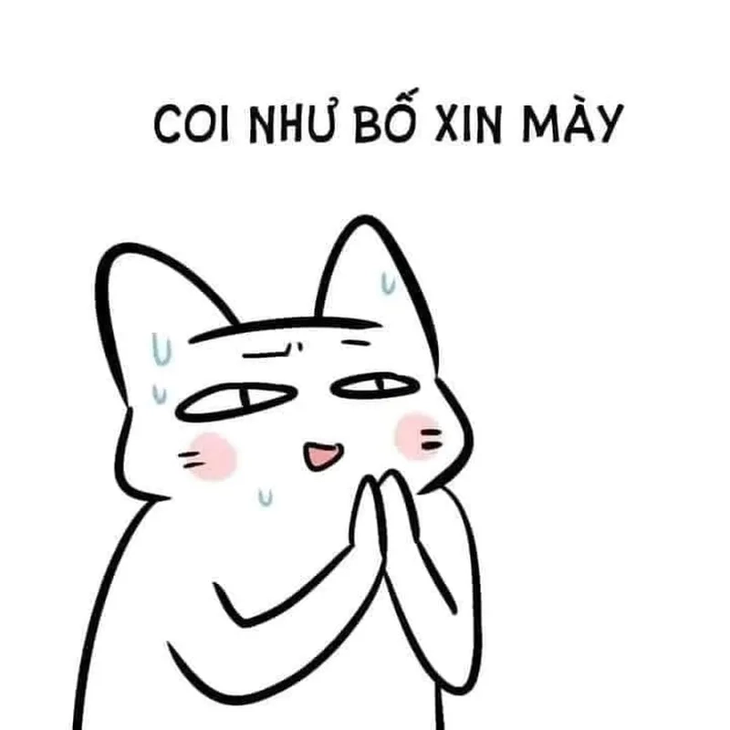 Xem xong meme quỳ cảm ơn chỉ muốn tha thứ tất cả