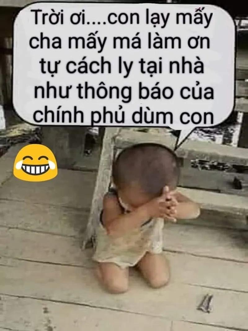 Cứ sai là quỳ cảm ơn meme là xong chuyện