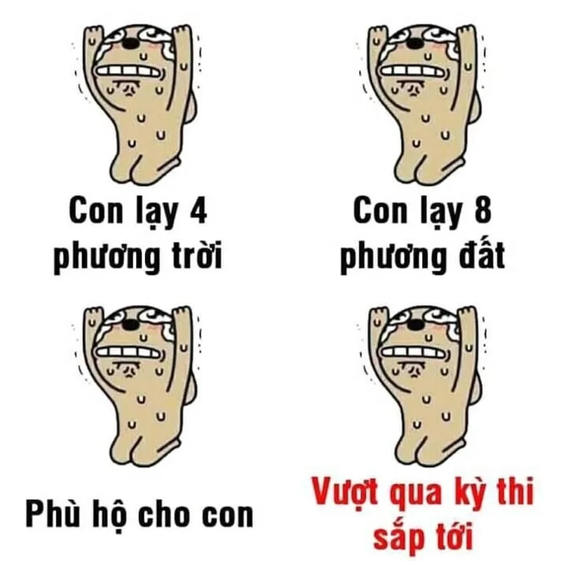 Dân mạng phát cuồng vì meme quỳ lạy mới ra mắt
