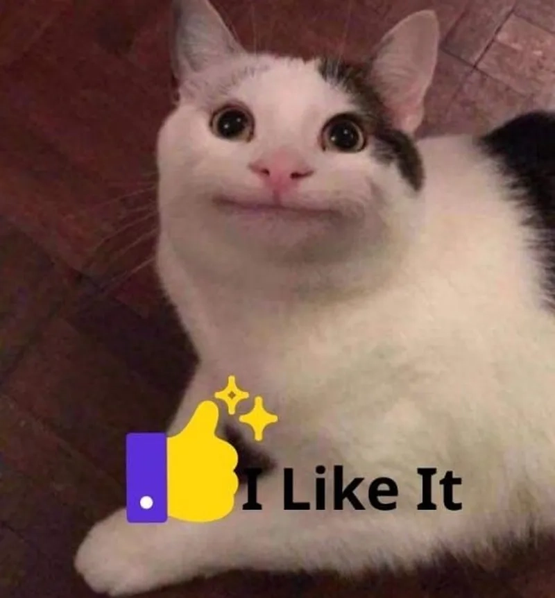 Bật mood cảm xúc với meme mèo like khóc siêu lầy