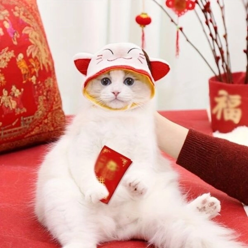 Tình yêu cũng có biểu cảm như meme mèo yêu