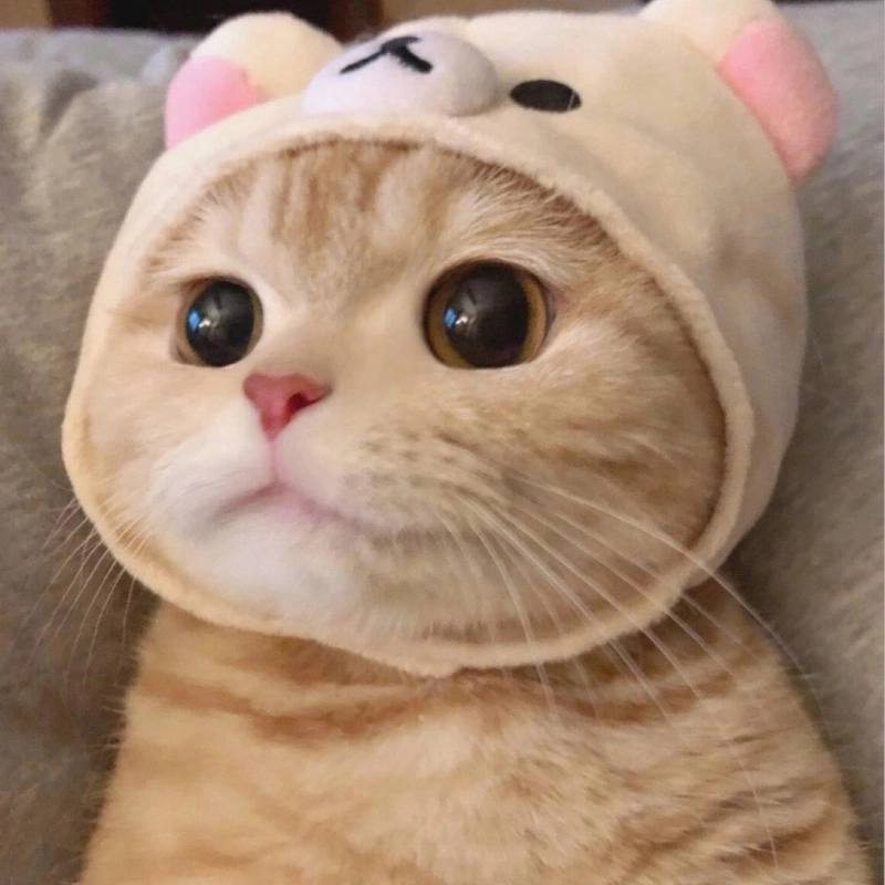 Đừng buồn nữa, xem ngay meme một xíu là vui ngay