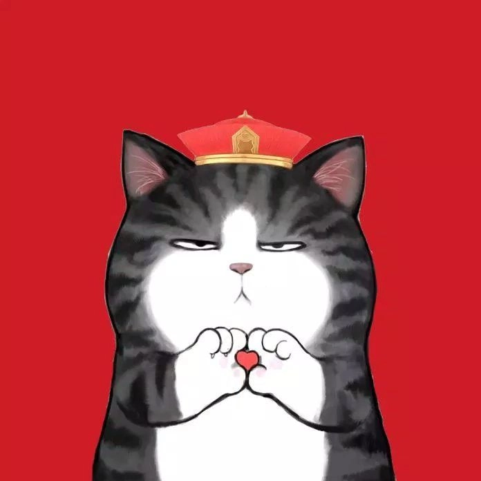 Dành tặng tín đồ cute: avatar ảnh mèo cute meme