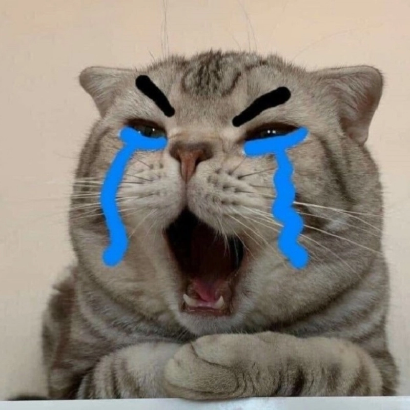 Mlem mlem quá trời trong há mồm cute meme mèo cười