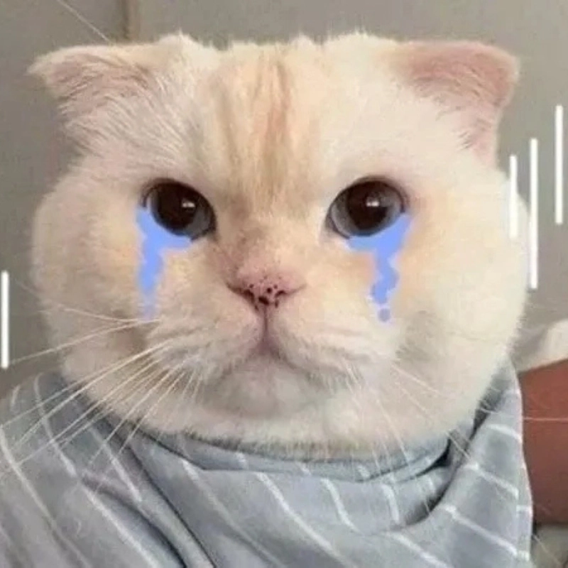 Đồng cảm ngay với khóc meme mèo cute trong ngày u sầu