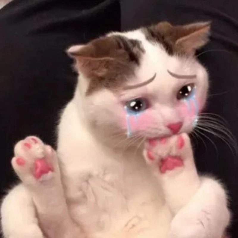 Dễ thương rớt rụng với meme mèo cute khóc
