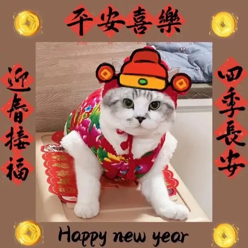 Bộ sưu tập avatar meme mèo tết khiến dân mạng phát sốt