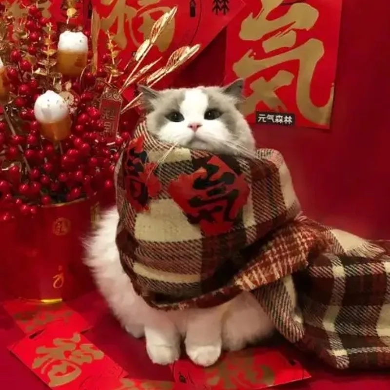 Mê chữ ê kéo dài với avatar meme tết mèo