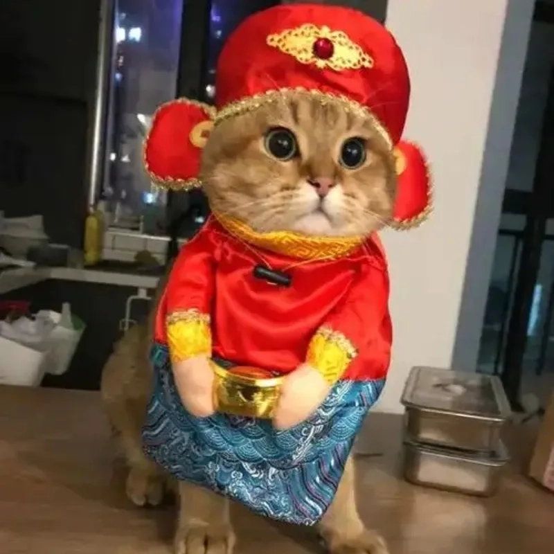 Bắt trend Tết với avt tết meme mèo đang viral