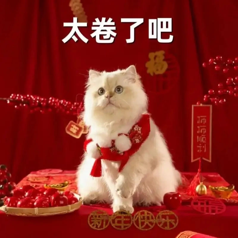 Đổi vibe liền tay với avatar ảnh mèo tết meme