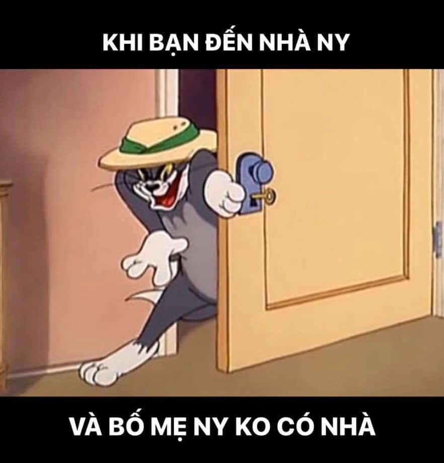 Đỉnh cao nham hiểm chính là meme mèo tom cười