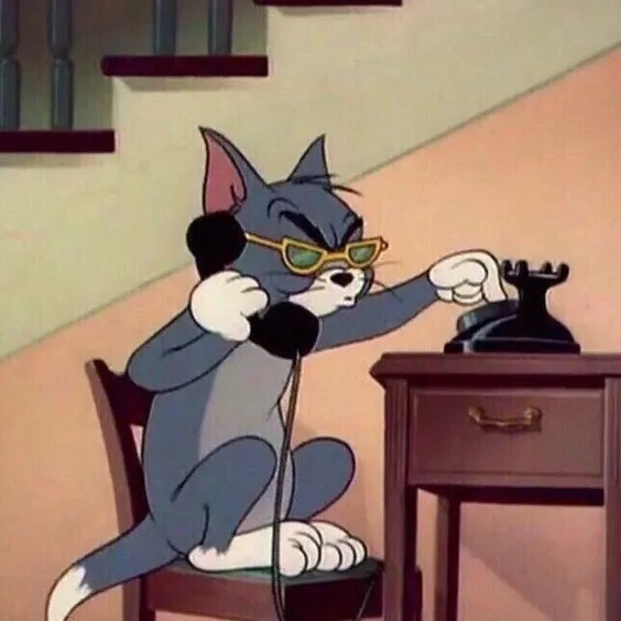 Đỉnh cao biểu cảm thuộc về meme mèo tom tức giận