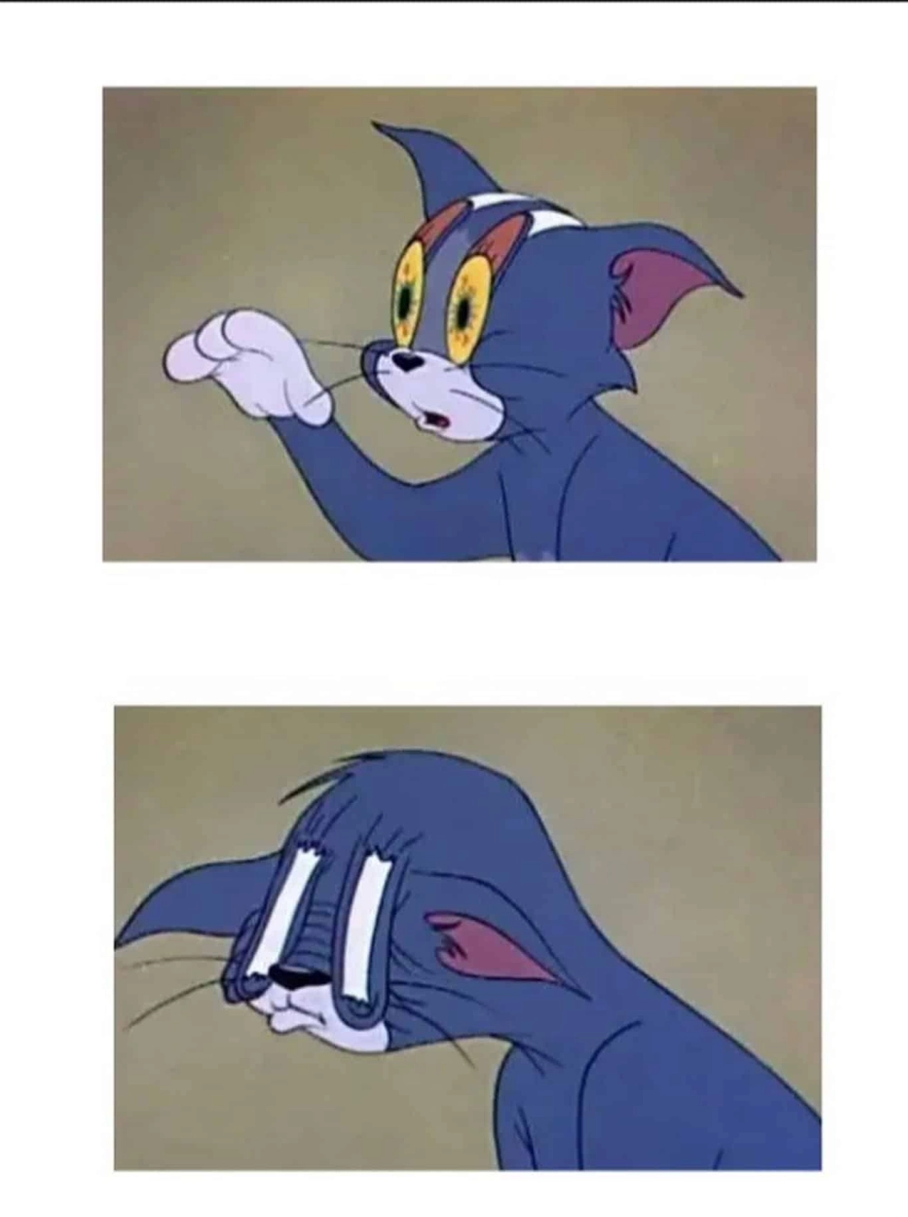 Khép lại drama bằng meme mèo tom đóng cửa cực gắt