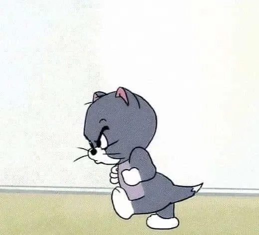 Tấu hài theo cách riêng của meme meo tom