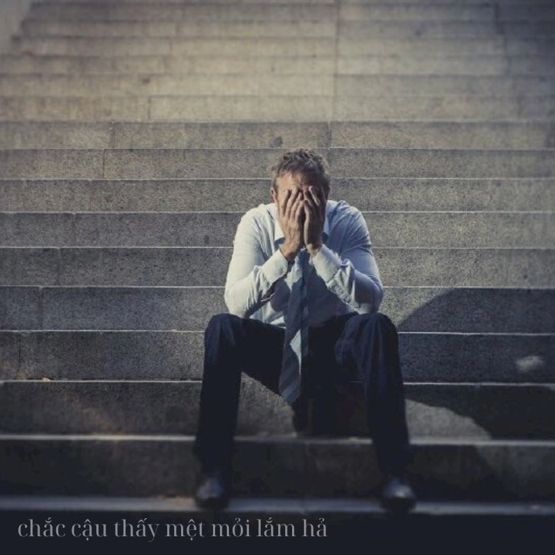 Không còn gì để mất tôi quá mệt mỏi rồi meme