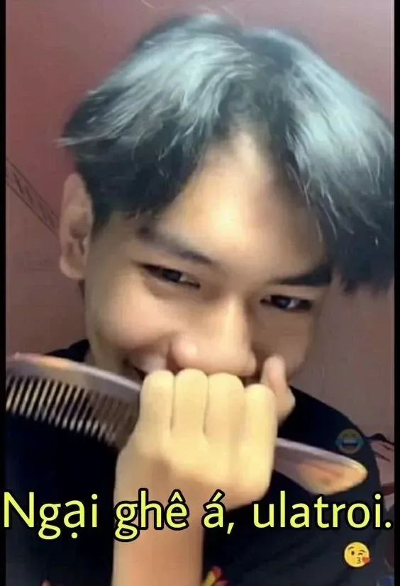 Cái cảm giác muốn trốn luôn vì quá meme ngại