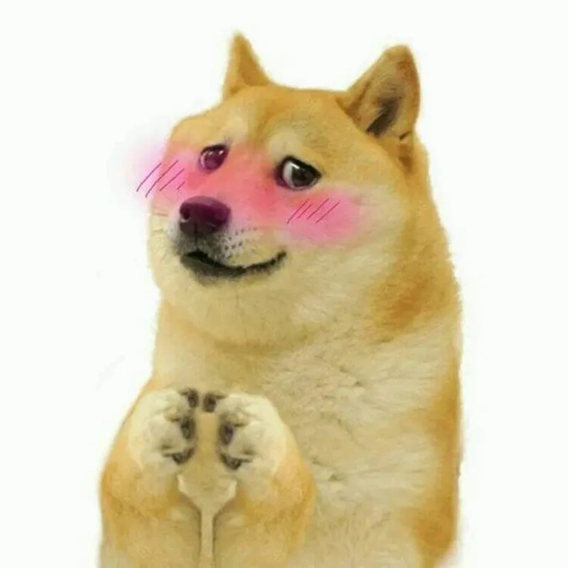 Nhìn giùm cái đi meme ngại dùm