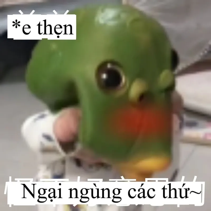 Tự nhiên thấy quen quen thôi ngại lắm meme