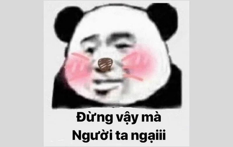 Cảnh báo meme quan ngại sâu sắc toàn tập