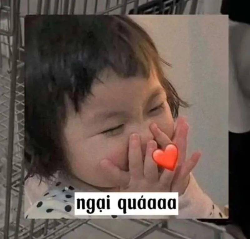 Đúng kiểu không biết dấu mặt đâu meme mặt ngại