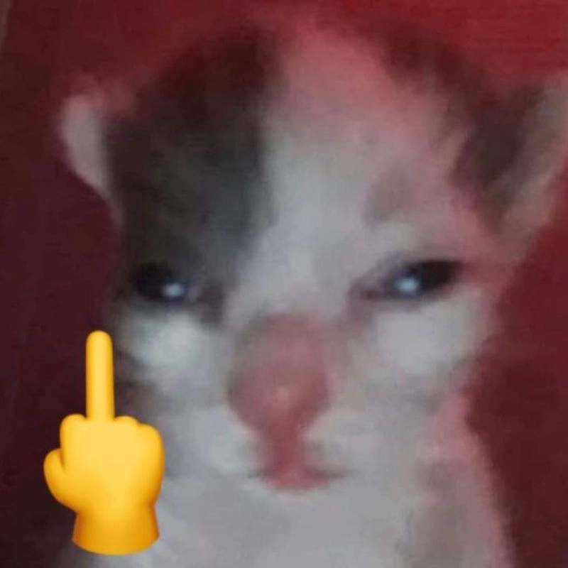 Khám phá ngay bộ meme ngón giữa meme cực kỳ hấp dẫn
