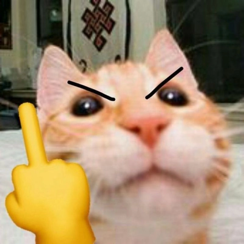 Những khoảnh khắc bá đạo của meme ngón tay giữa khiến bạn thích thú