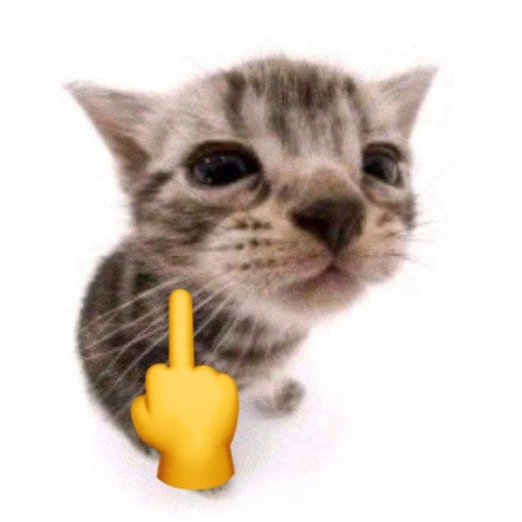 Tận hưởng sự hài hước trong meme giơ ngón giữa bá đạo
