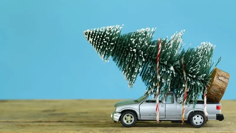 Không khí Giáng Sinh tràn về cùng meme cây thông noel