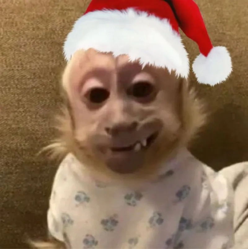 Gợi nhớ trào lưu đình đám nnn memes 2021