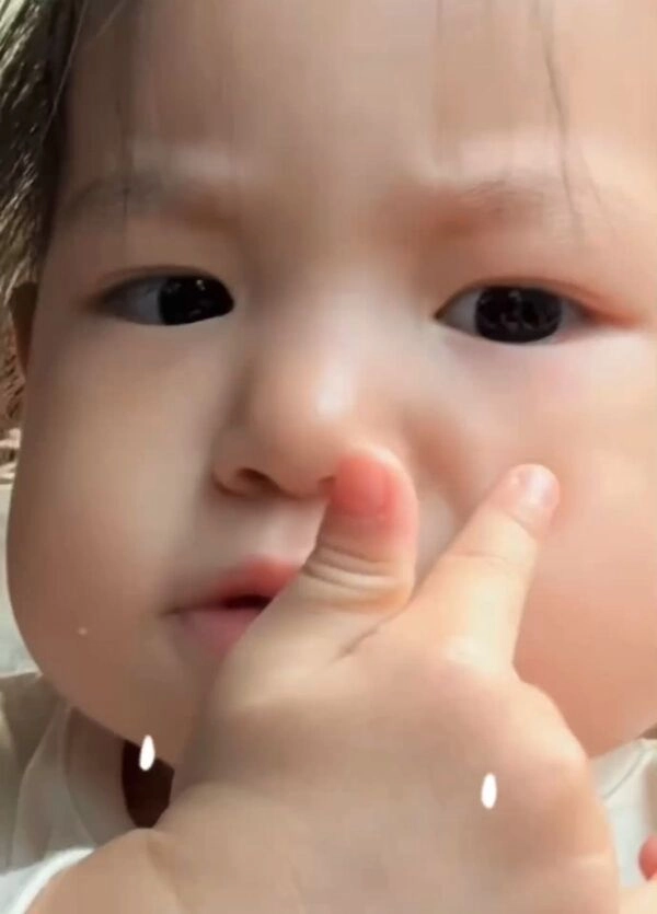 Thả tim cực chất với bộ meme meme pam thả tim dễ thương