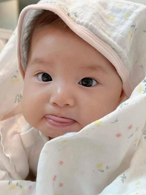 Bộ ảnh meme cực cute dành riêng cho fan meme pam yêu ơi