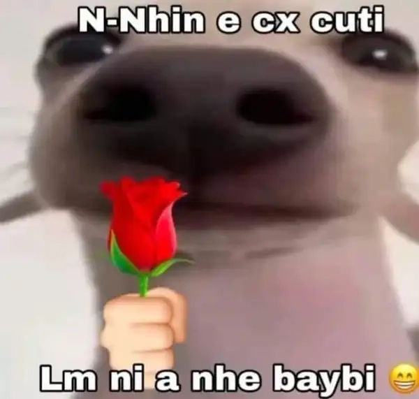 Thêm yêu ngày lễ nhờ meme tặng hoa 8/3 đầy cảm xúc