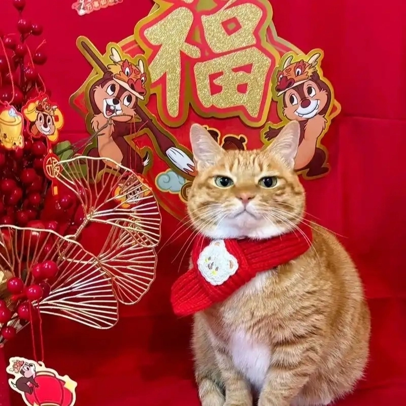 Giai điệu vui nhộn trong nhạc tết meme sôi động