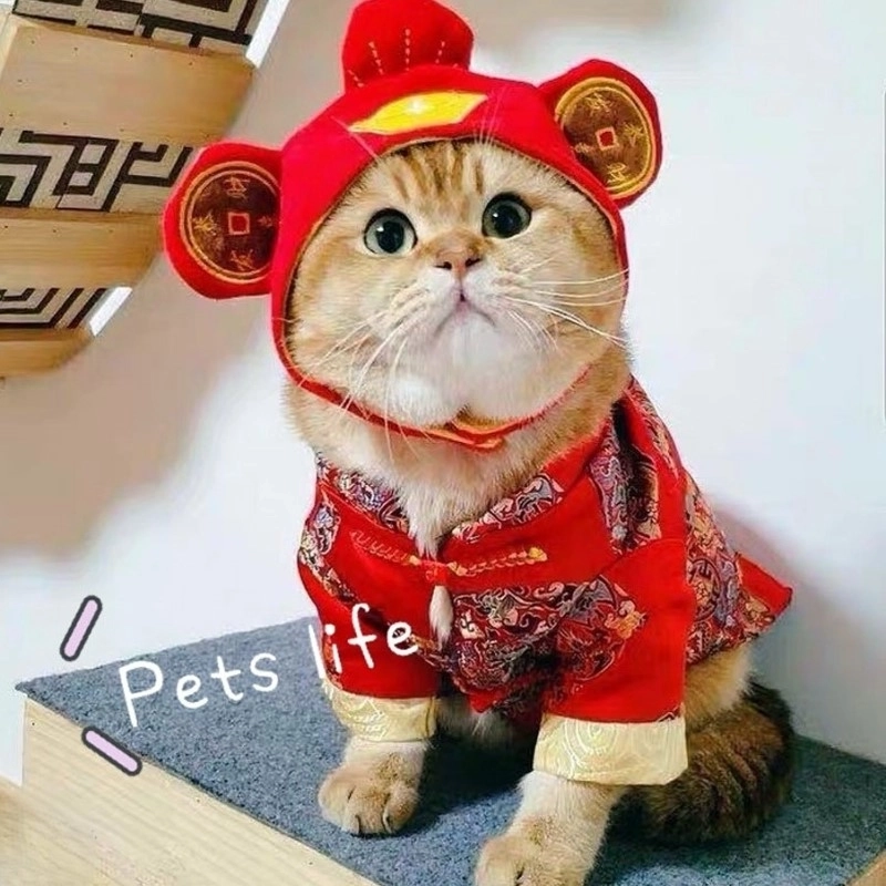 Thả ga cười với meme hài tết vui nhộn
