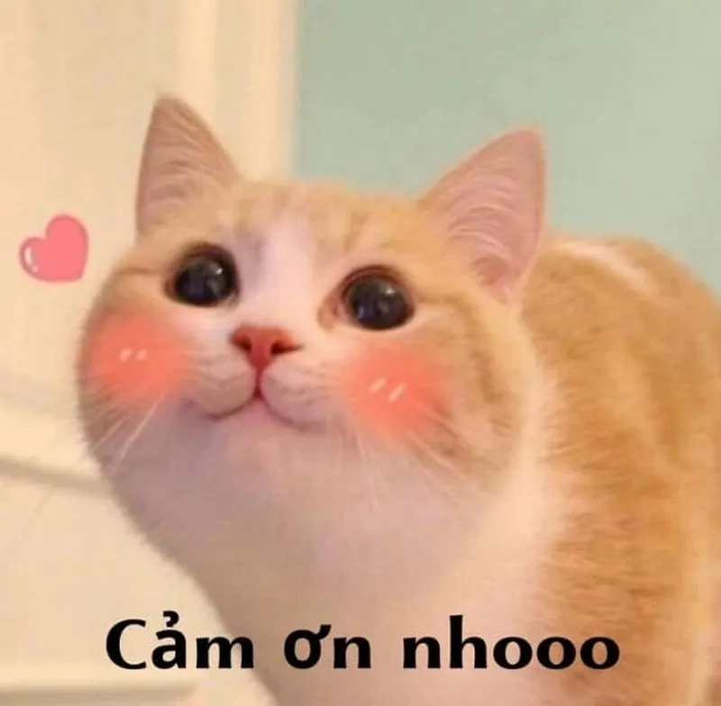 Gửi gif chuẩn mood bằng gif meme thank you