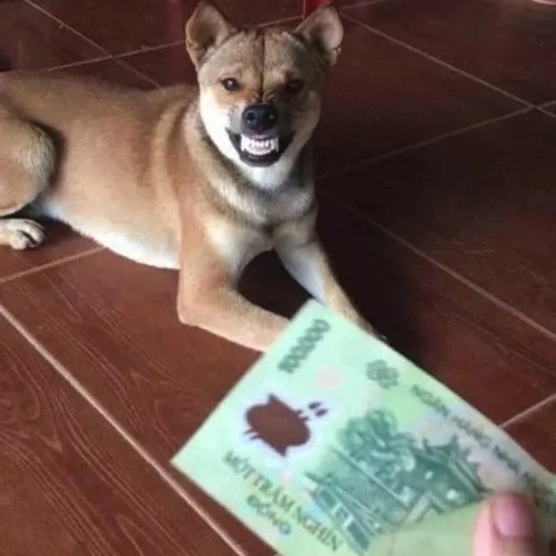 Ai vừa nhận tiền thì tặng meme nhận tiền liền
