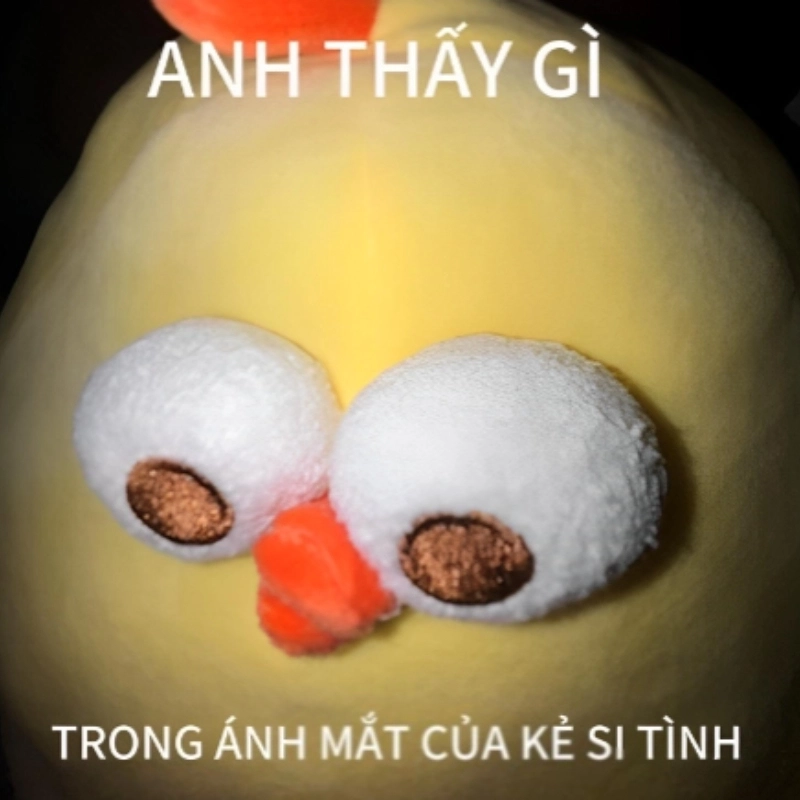 Khi meme tình yêu hài hước còn lãng mạn hơn cả ngôn tình