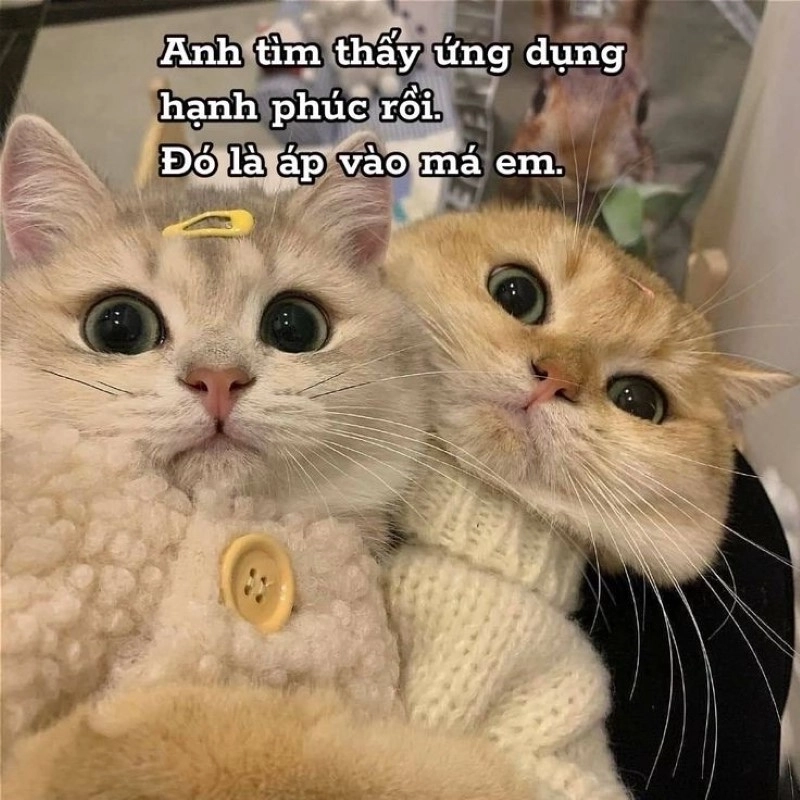Sưu tầm ngay loạt ảnh meme tình yêu cực yêu cho crush